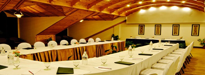 334/Citrus Manali Resort - Manali 006.jpg